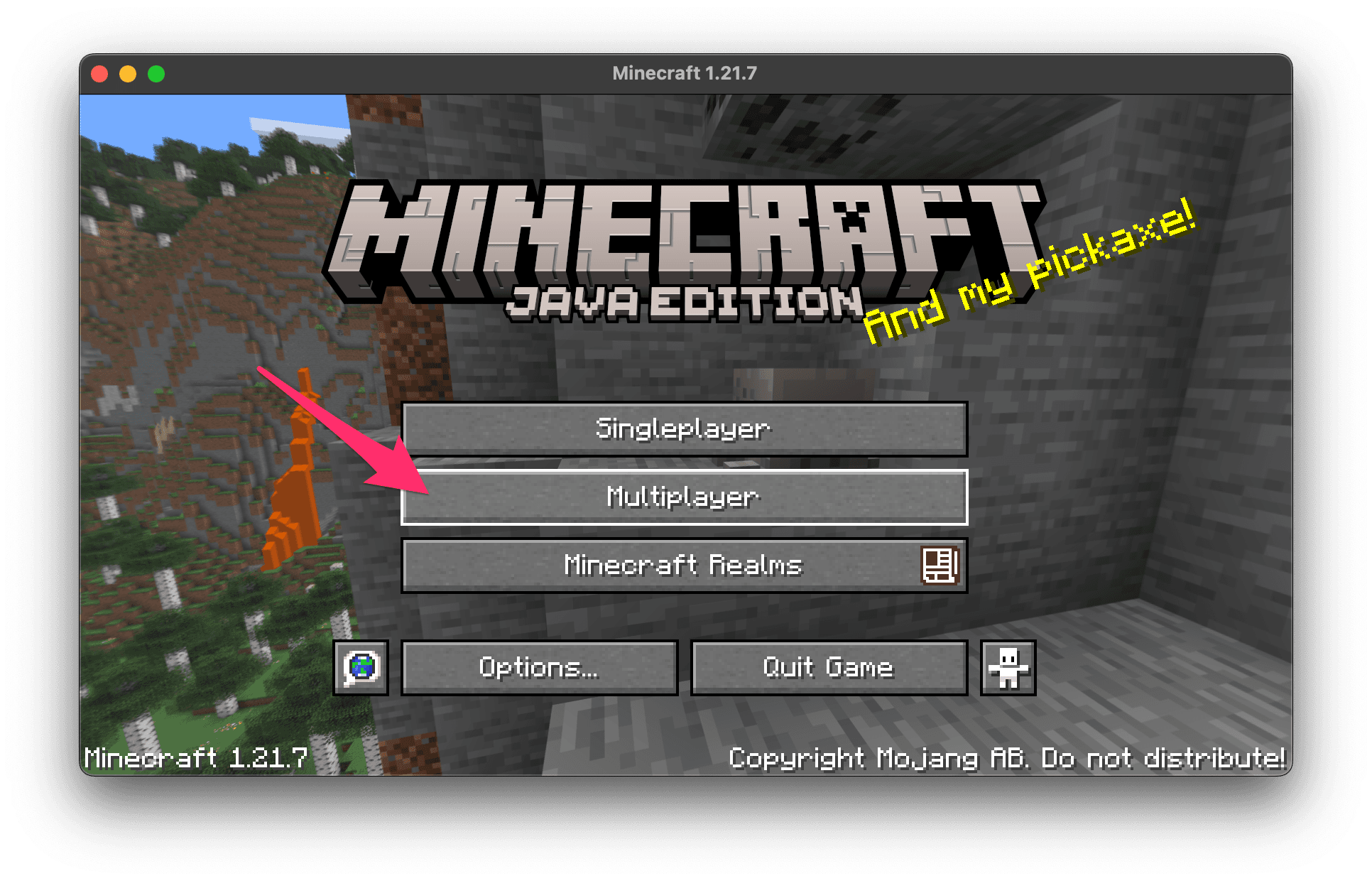 Click the Multiplayer button